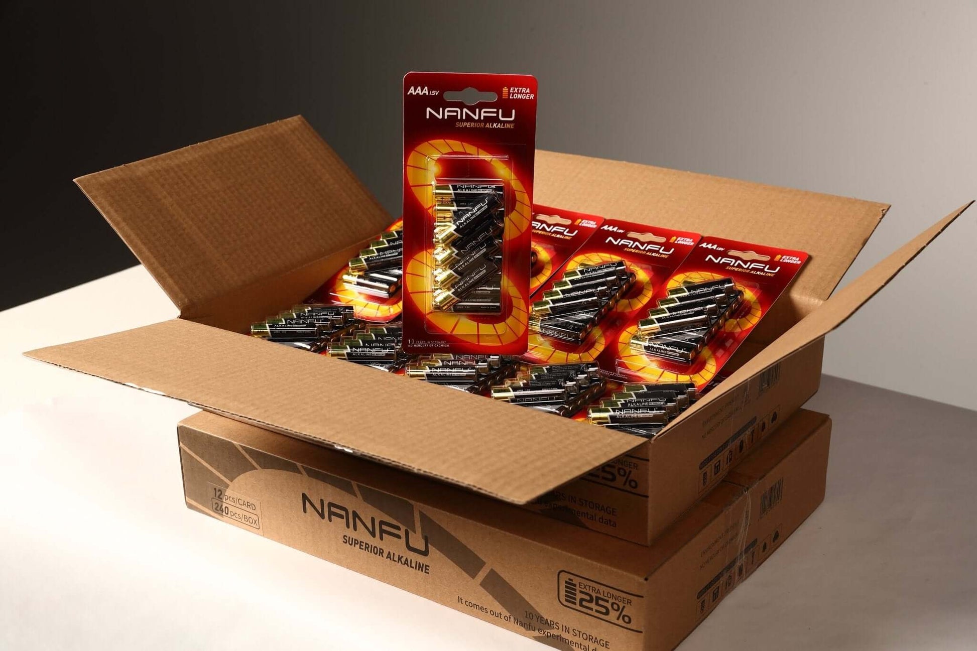 NANFU 1.5V AAA Alkaline Batteries 12 Blister Pack - Nanfuusa